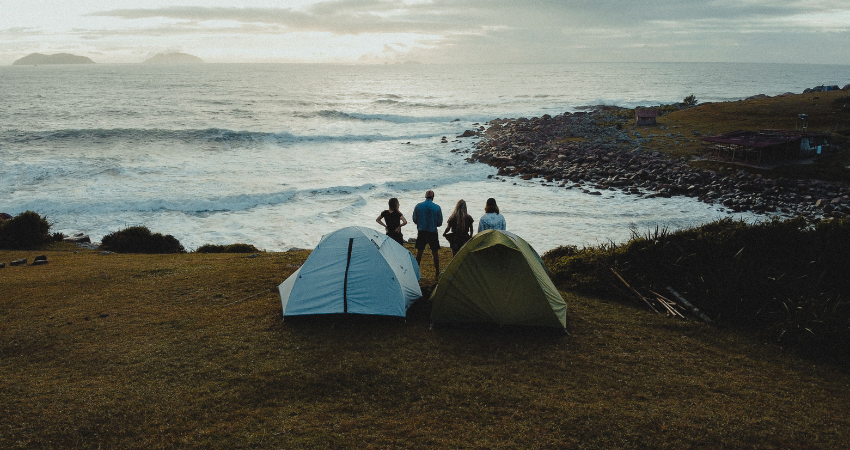 wildlife tour package